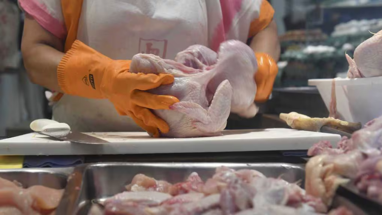VENEZUELA PROYECTA SUPERAR LAS 900.000 TONELADAS DE POLLO EN 2026